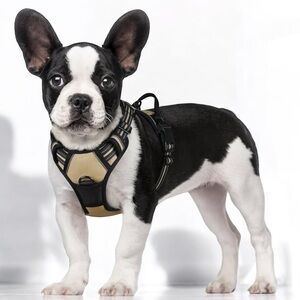 Rabbitgoo No Pull Adjustable Dog Harness Small NWOT